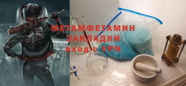 шишки Белокуриха