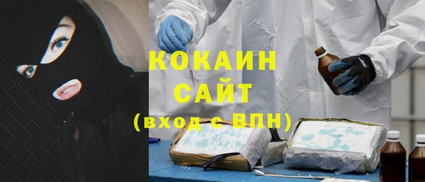 шишки Белокуриха