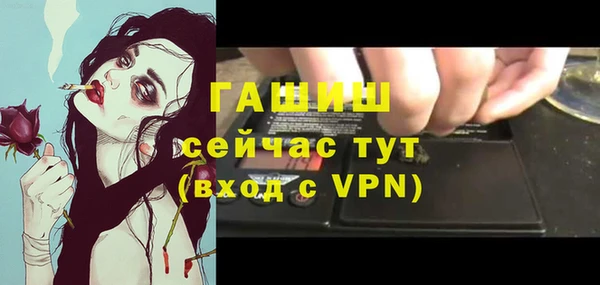 шишки Белокуриха