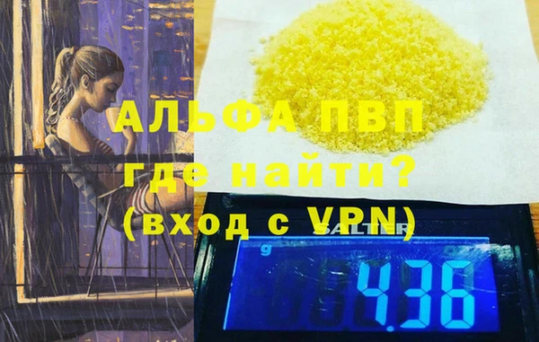 шишки Белокуриха