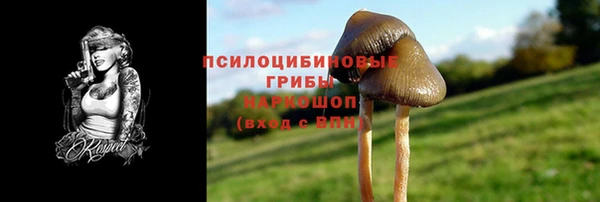 шишки Белокуриха