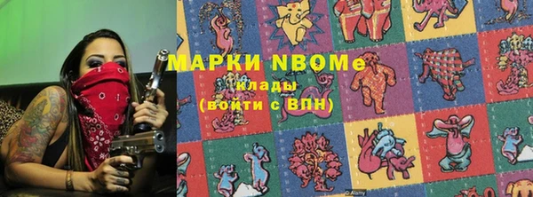 шишки Белокуриха