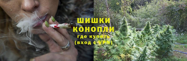 шишки Белокуриха