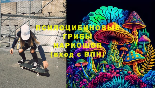 шишки Белокуриха