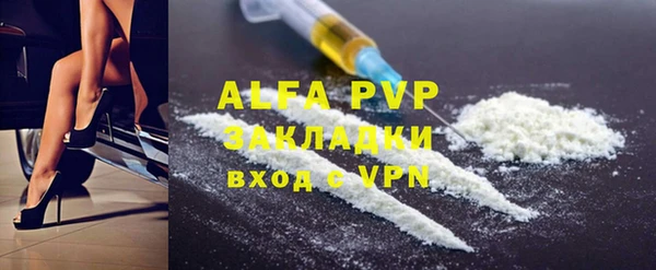 шишки Белокуриха