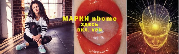 шишки Белокуриха