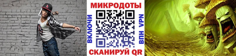 где можно купить наркотик  Шагонар  Псилоцибиновые грибы Cubensis 